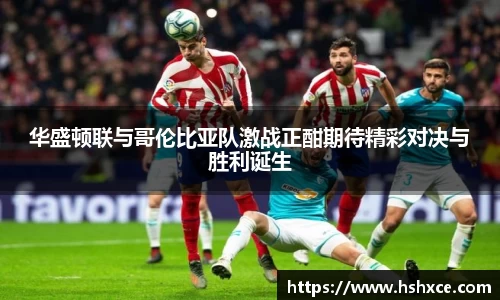 乐发IV官网